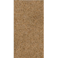 Gạch men Đồng Tâm 30x60 cm 3060NHATRANG002