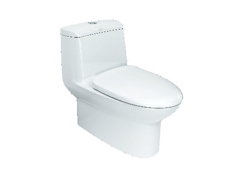 Bồn cầu một khối American Standard WP-1830 (CCAS1830-1 M15B)