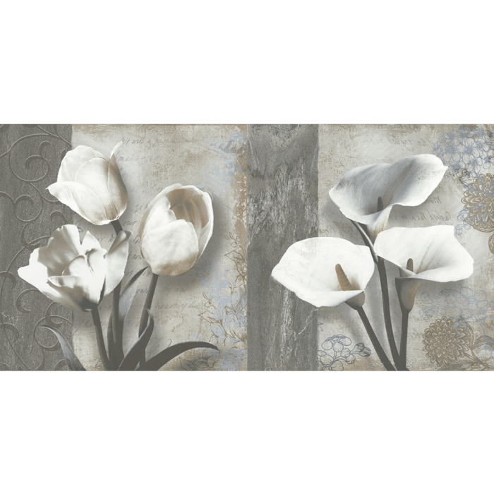 Gạch ốp lát Viglacera 300x600 BS3642A