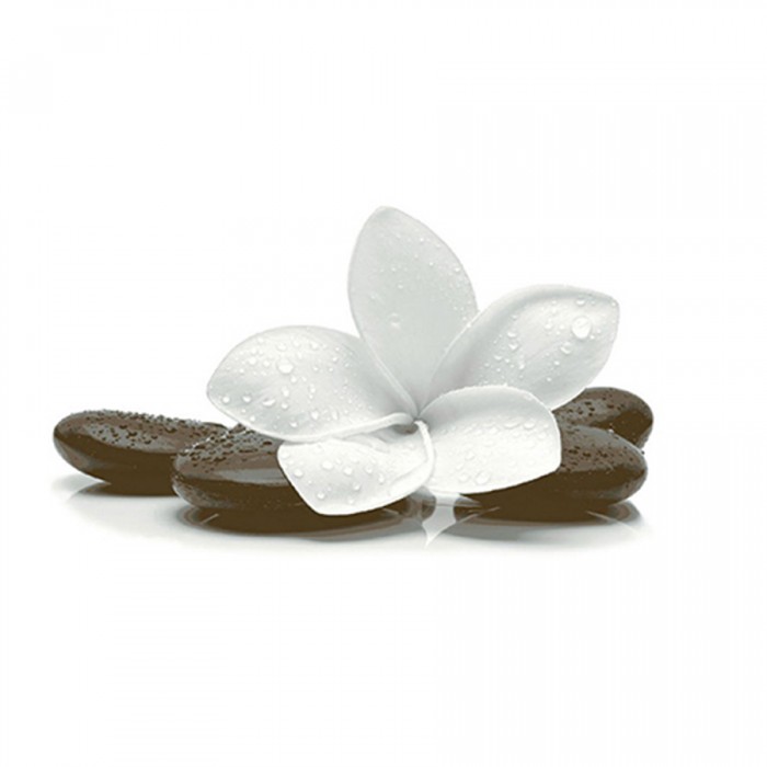 Gạch ốp tường trang trí Prime 05-300600-09418