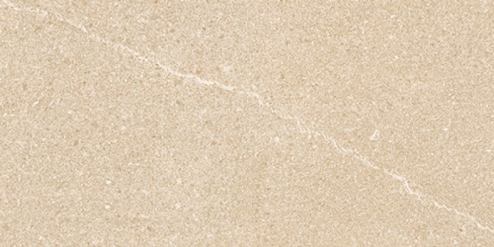 Gạch ốp lát Prime 03.300600.09059