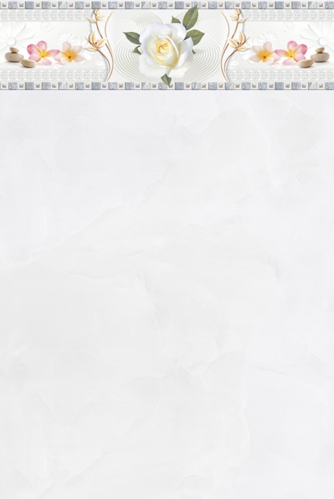 Gạch ốp tường Prime 05.300450.09289