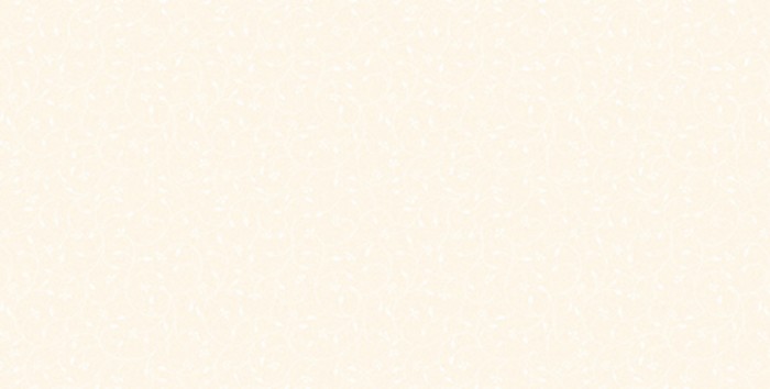 Gạch men 400x800 Prime 05.400800.0825961