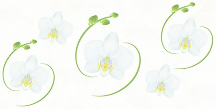 Gạch men 400x800 Prime 05.400800.08250