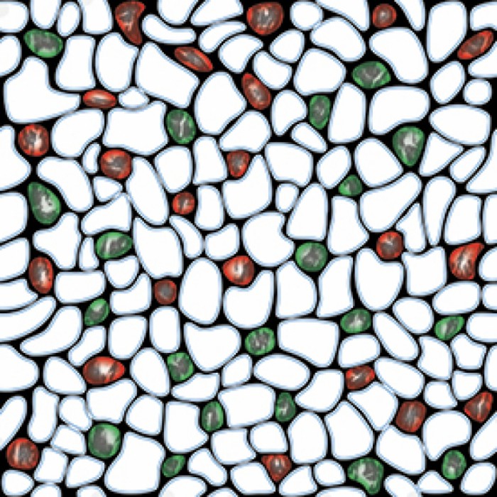 Gạch lát men bóng Prime 01.300300.02374