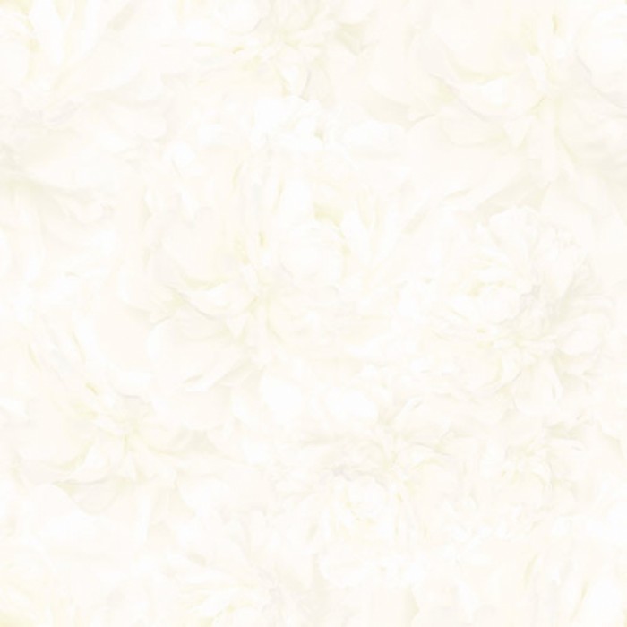 Gạch lát sàn Prime 03.600600.09017