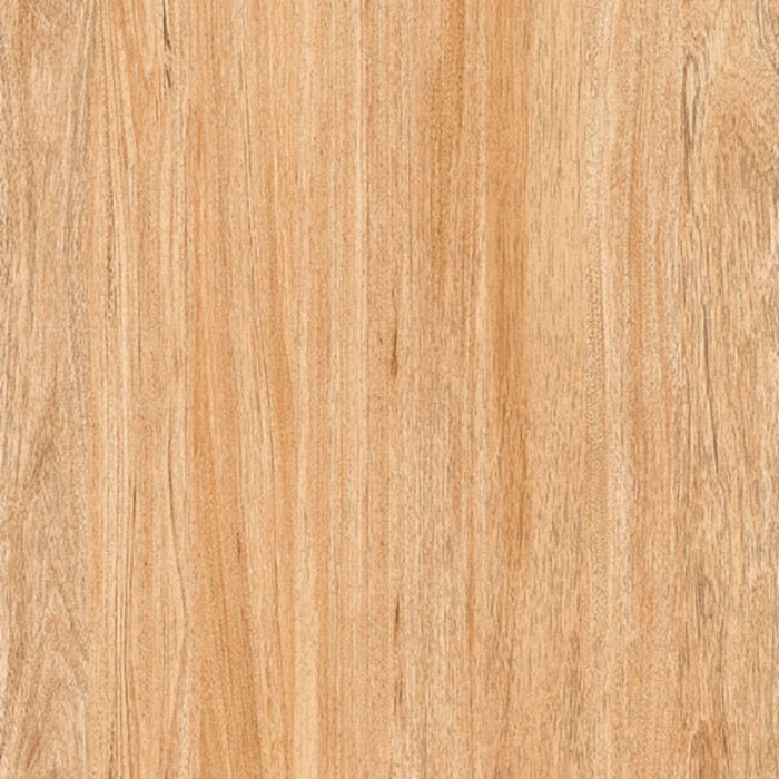 Gạch lát nền Prime 03.600600.09854