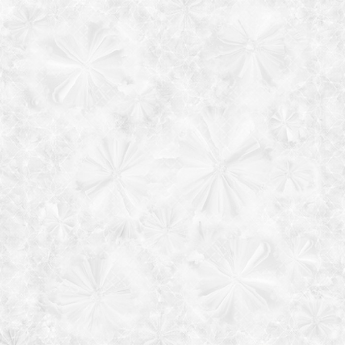 Gạch lát nền Prime 03.600600.12022