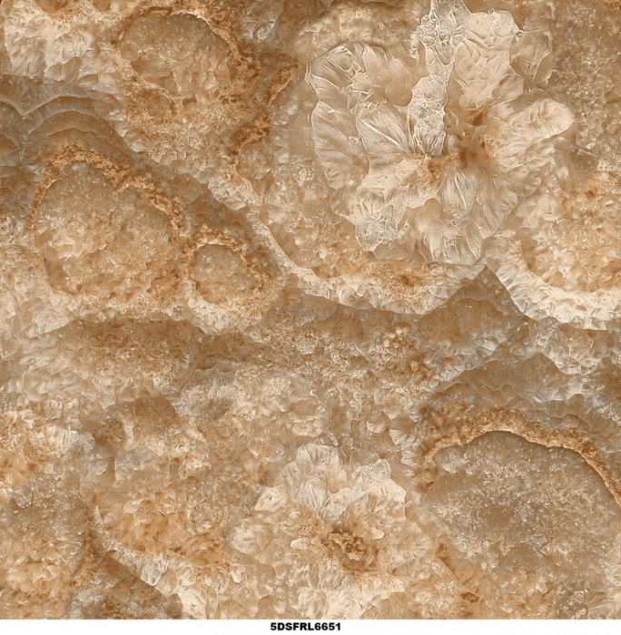 Gạch lát nền Toko 5DS FRL 6651