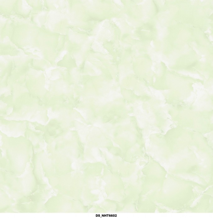 Gạch lát nền Toko DS NHT 6602