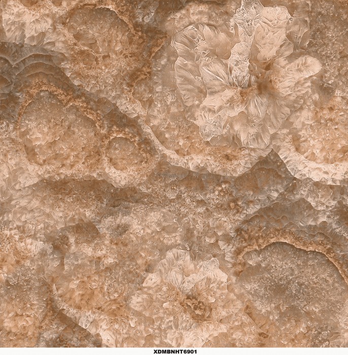 Gạch lát nền Toko XDMBNHT 6901