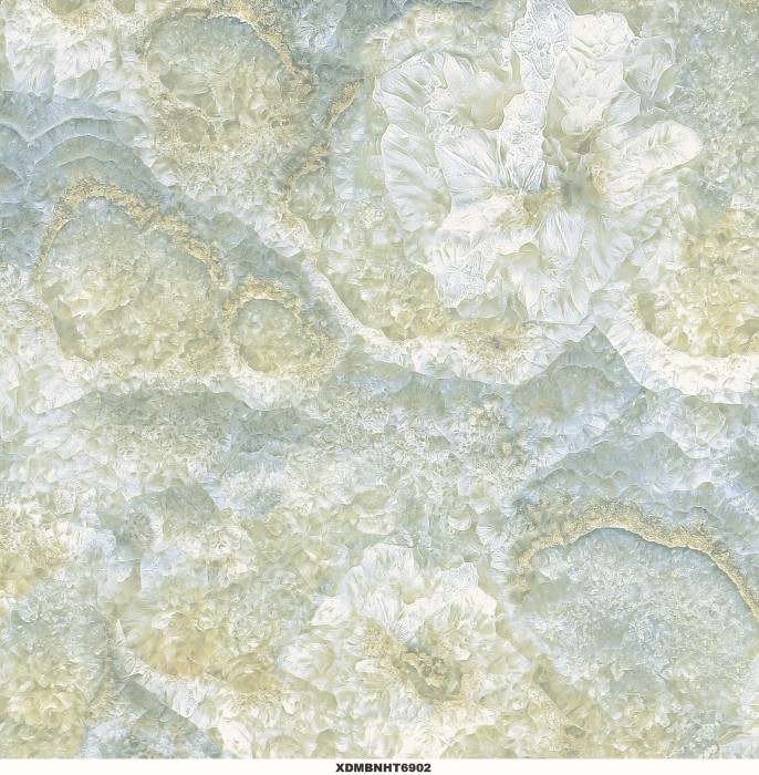 Gạch lát nền Toko XDMBNHT 6902