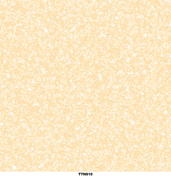 Gạch lát nền 50x50 Toko TTN 510