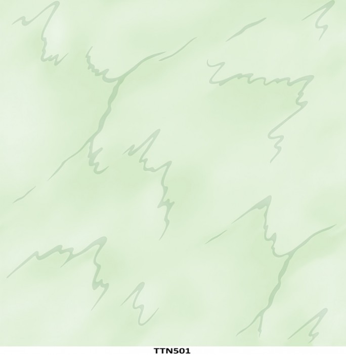 Gạch tráng men bóng Toko TTN 501