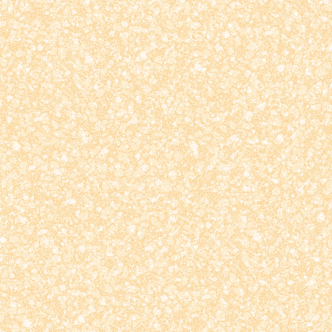 Gạch lát nền Toko RB 936 (Hết hàng)