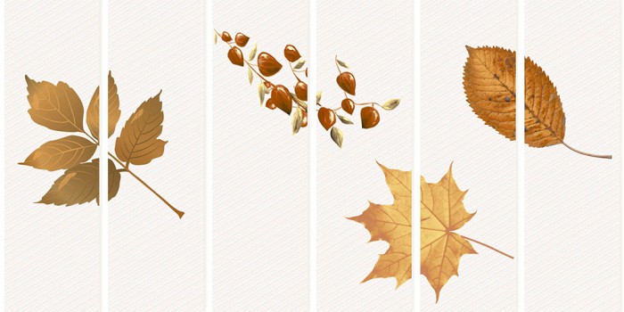 Gạch ốp tường Porcelain Toko DSB 62506