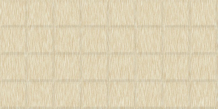 Gạch ốp tường Toko DSTK 306008