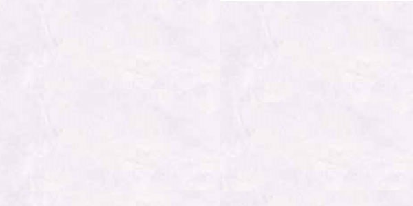 Gạch granite 30x60 Bạch Mã H36030