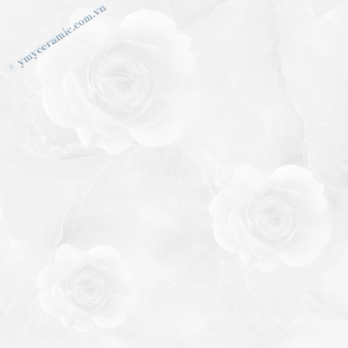 Gạch men lát nền 60x60 Ý Mỹ Y6020