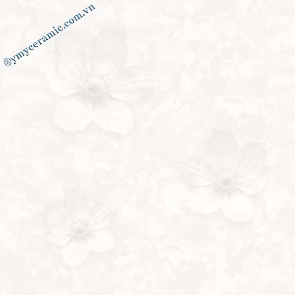 Gạch men 50x50 Ý Mỹ A548