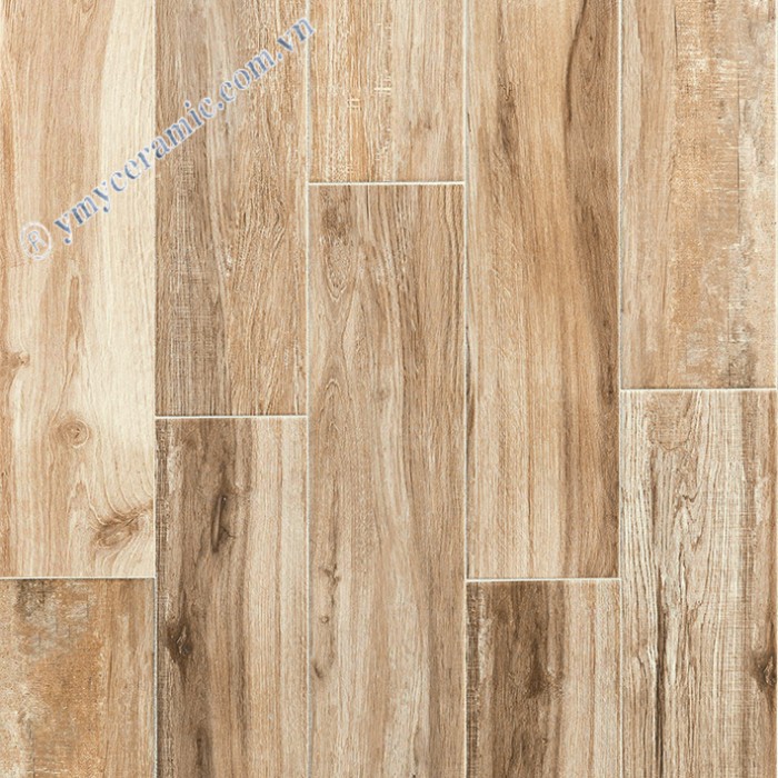 Gạch men 50x50 Ý Mỹ Y5121