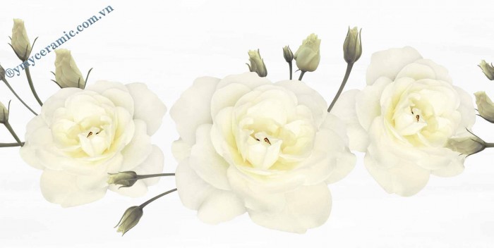 Gạch điểm ốp tường 30x60 Ý Mỹ S36019D