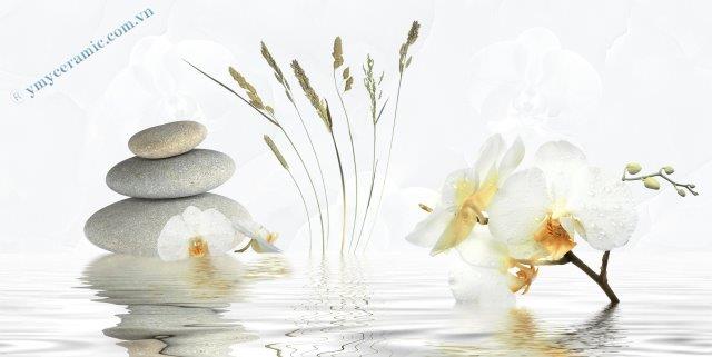 Gạch men ốp tường điểm Ý Mỹ A36020D