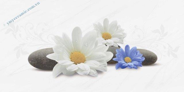 Gạch men ốp tường điểm Ý Mỹ S36017D