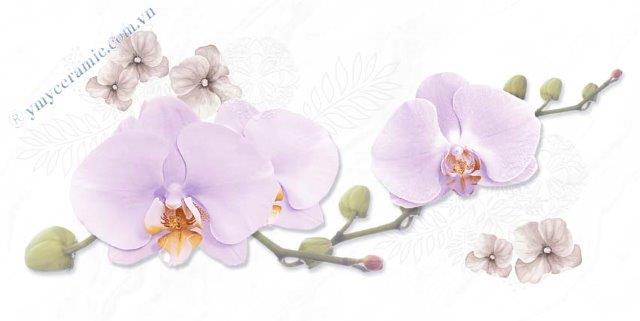 Gạch men ốp tường 30x60 Ý Mỹ Y36026D