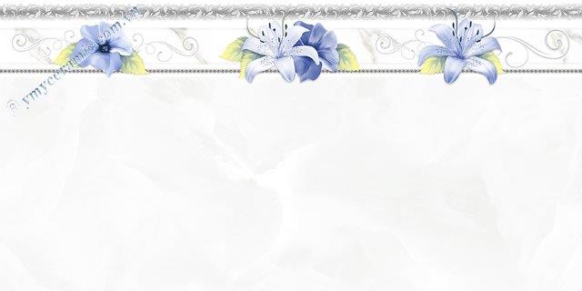 Gạch men ốp tường 30x60 Ý Mỹ C36015L