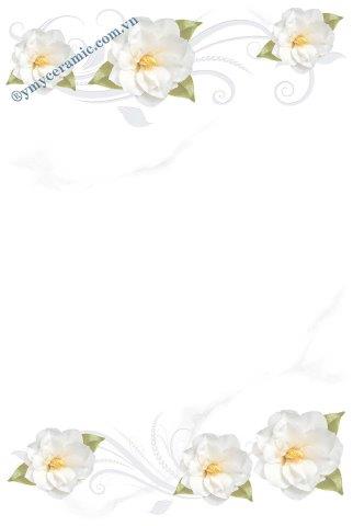 Gạch men ốp tường 30x45 Ý Mỹ S34036LB