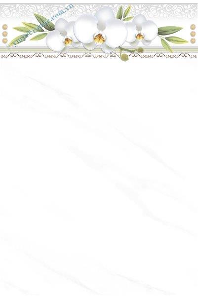 Gạch men 300x450 ốp tường Ý Mỹ Y34063L