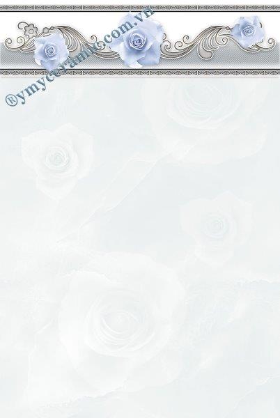 Gạch men 30x45 ốp tường Ý Mỹ C34031L