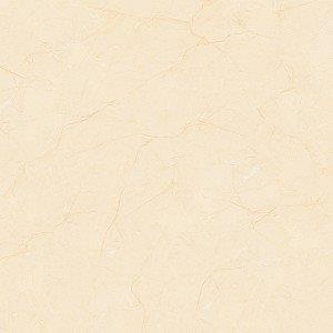 Gạch lát nền 80x80 Tasa 8101