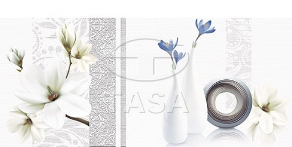 Gạch điểm 30x60 Tasa 3665