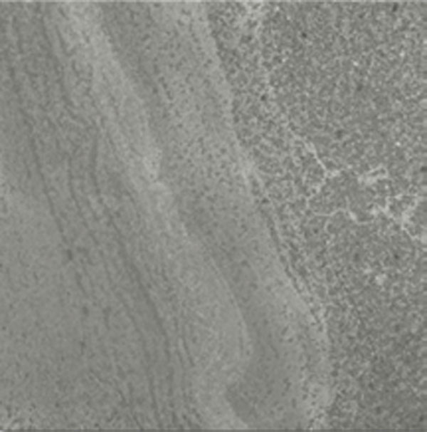 Gạch Malaysia Tempest 600SG4N3D 