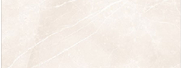 Gạch nhập khẩu Bồ Đào Nha 450x1200 45120MACRSH