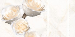 Gạch men ốp tường điểm Đồng Tâm D3060ROXY004