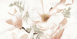 Gạch men ốp tường điểm Đồng Tâm D3060B1ROXY003