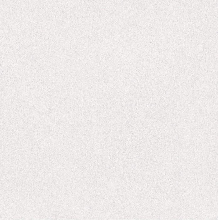 Gạch lát sàn Porcelain men Sugar TTC PS66006