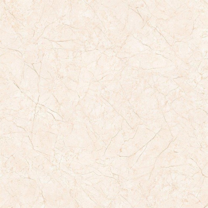 Gạch lát nền Porcelain 60x60 TTC PN66005