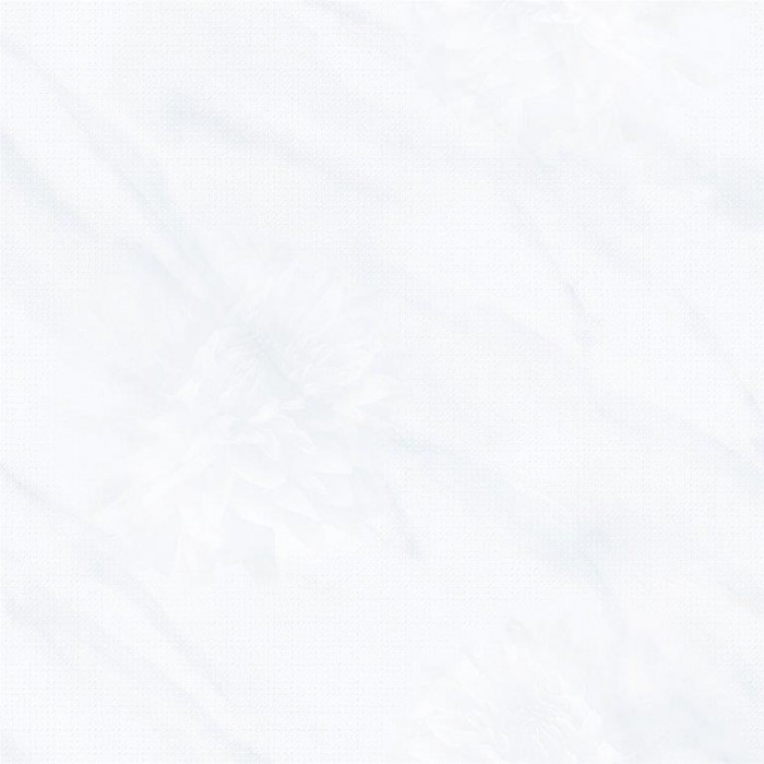 Gạch lát nền Porcelain 60x60 TTC PN66006