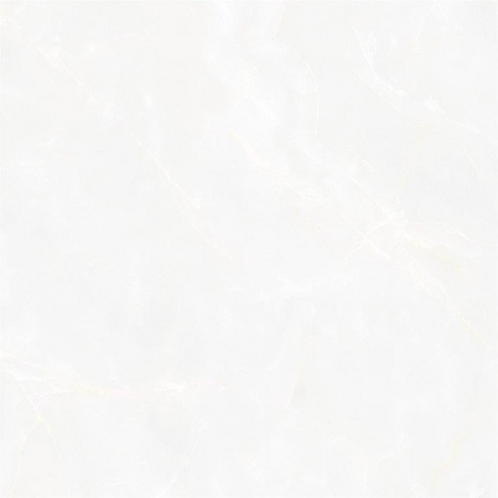 Gạch lát nền Porcelain 60x60 TTC PN66009