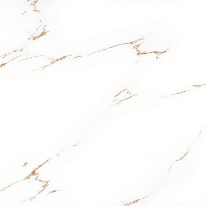 Gạch lát nền Porcelain 60x60 TTC PN66019