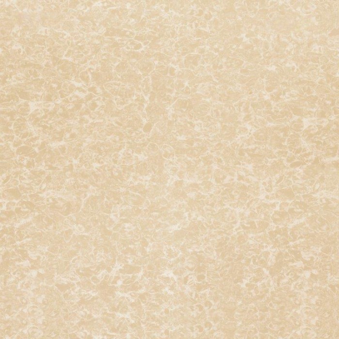 Gạch lát nền Porcelain mài Nano TTC PN66022