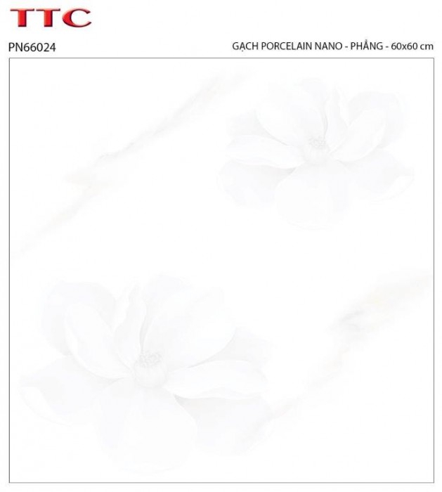 Gạch lát nền Porcelain vân đá TTC PN66024