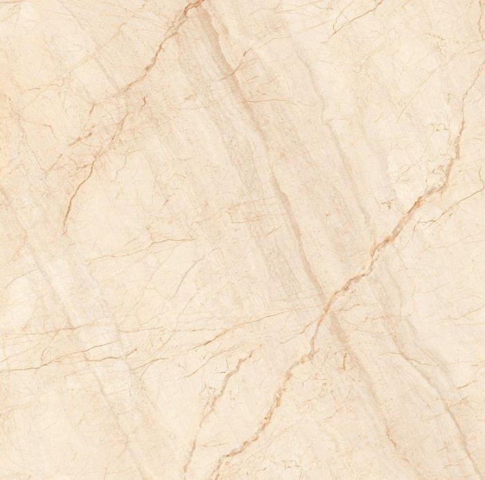 Gạch lát nền Porcelain  mài mặt Nano TTC PN66027