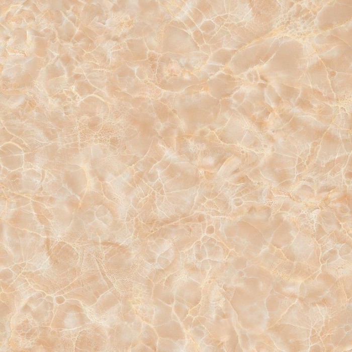 Gạch lát nền vân đá TTC PM66201