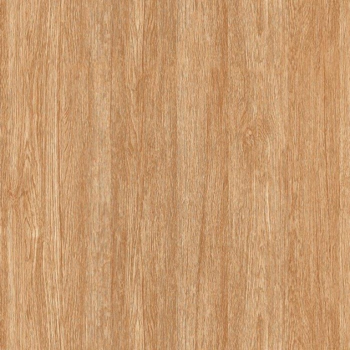 Gạch lát nền vân gỗ men Matt TTC CPM66201