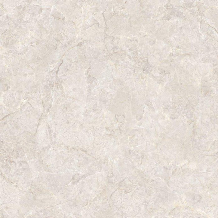 Gạch lát nền 60x60 TTC CM66004-G